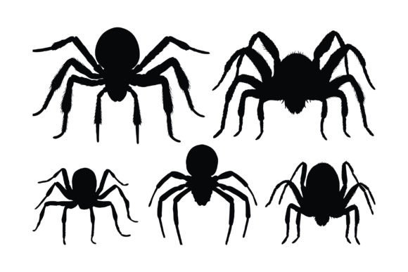 Download Spider Sitting Silhouette Collection - Spider Collection