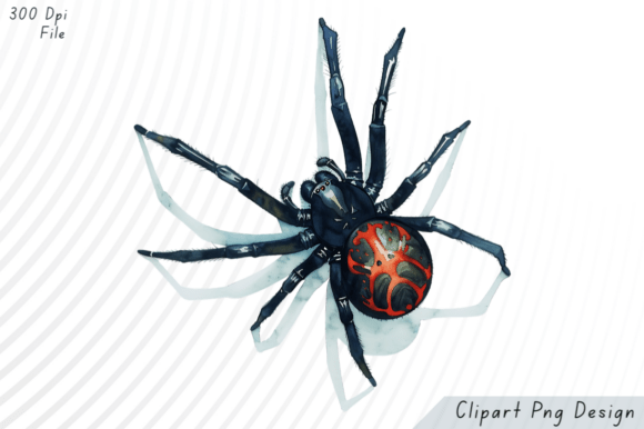 Download Spider PNG Clipart - Spider Collection